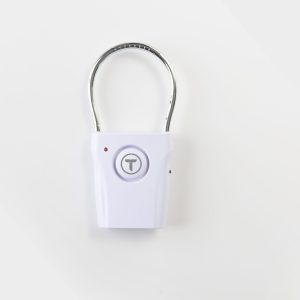Theora Door Alarm